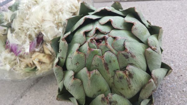 Aguinarès me arakas – artichauts avec petits pois